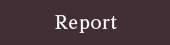 Report