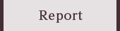 Report